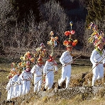 i blumarji di Montefosca